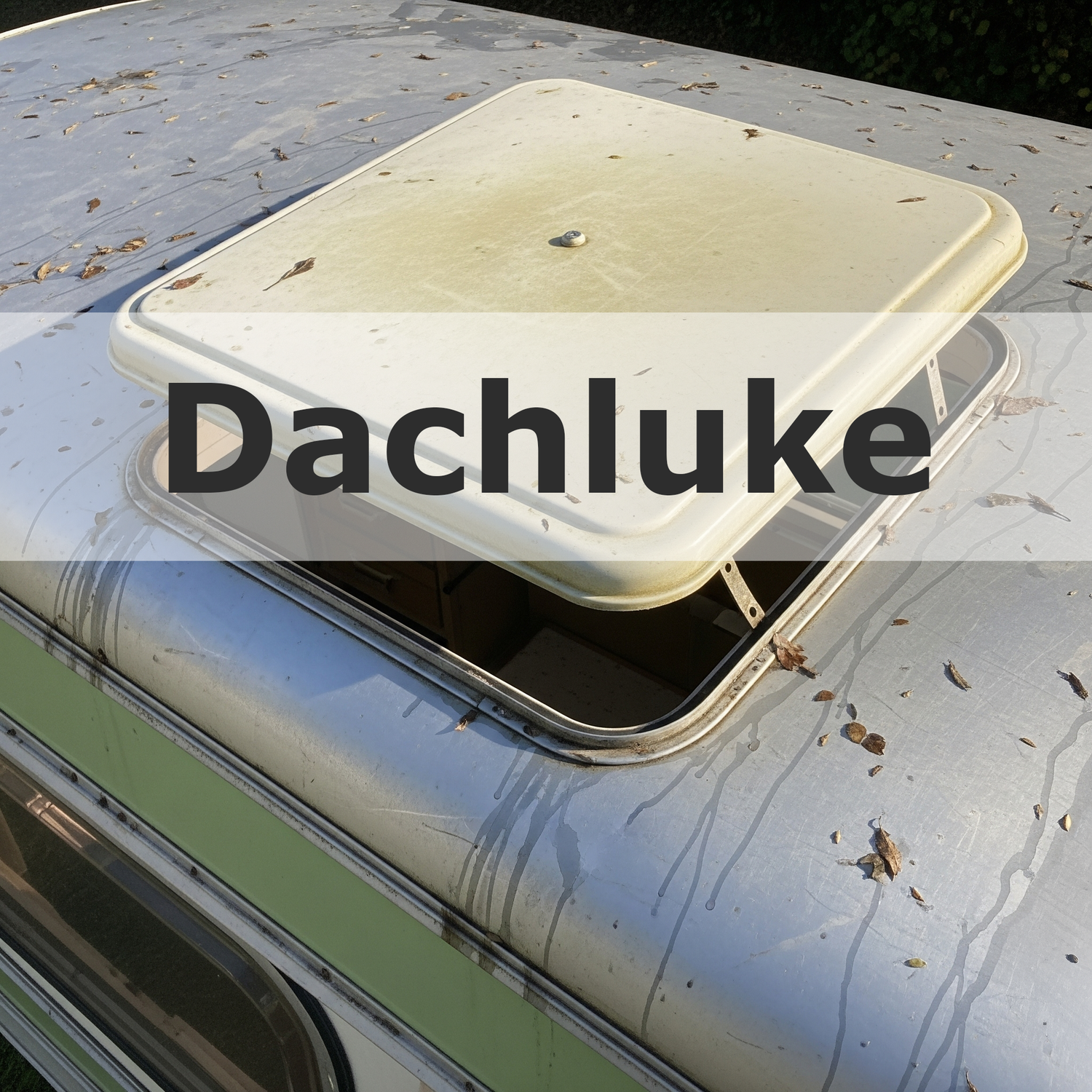 Dachluke